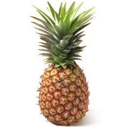 autocollant ananas photo couleur