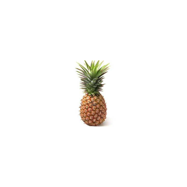 autocollant ananas photo couleur