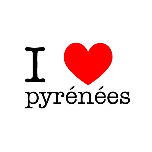 Autocollant i love pyrénées 1