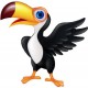 Autocollant Toucan oiseau sticker 2