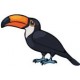 Autocollant Toucan oiseau sticker 4