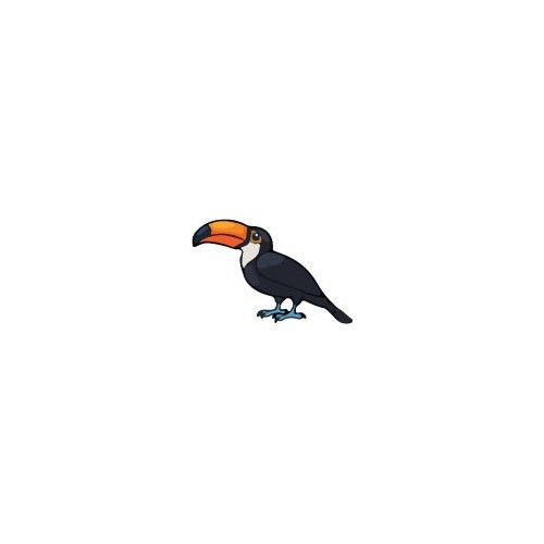 Autocollant Toucan oiseau sticker 4