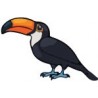 Autocollant Toucan oiseau sticker 4