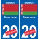 Biélorussie Bielaruś sticker numéro département au choix autocollant plaque immatriculation auto