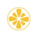 Citron - Autocollants Stickers caches enjoliveurs  pour jante auto