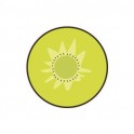 Kiwi - Autocollants Stickers caches enjoliveurs  pour jante auto