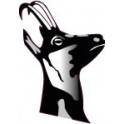 Sticker animal stickers adhesive head chamois izard 3