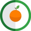 aufkleber frucht orange hervorgehoben, farbe, runde, grüne aufkleber