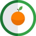 etiqueta engomada de la fruta de naranja vector de color verde etiquetas redondas