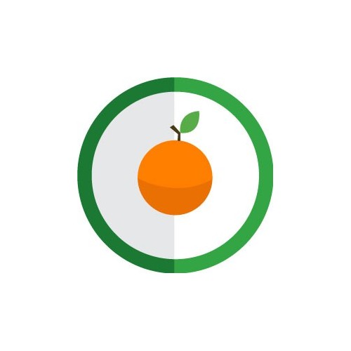 autocollant fruit orange vectorisé couleur rond vert stickers