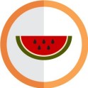 autocollant fruit pastèque vectorisé couleur rond orange stickers