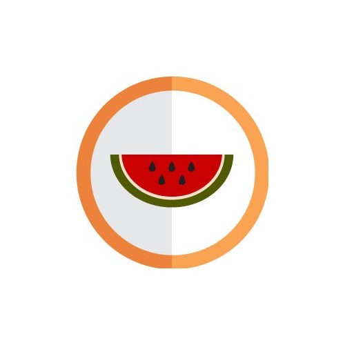 autocollant fruit pastèque vectorisé couleur rond orange stickers