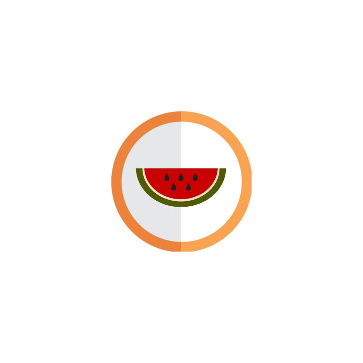 autocollant fruit pastèque vectorisé couleur rond orange stickers