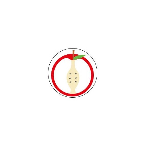 Pomme - Autocollants Stickers caches enjoliveurs  pour jante auto