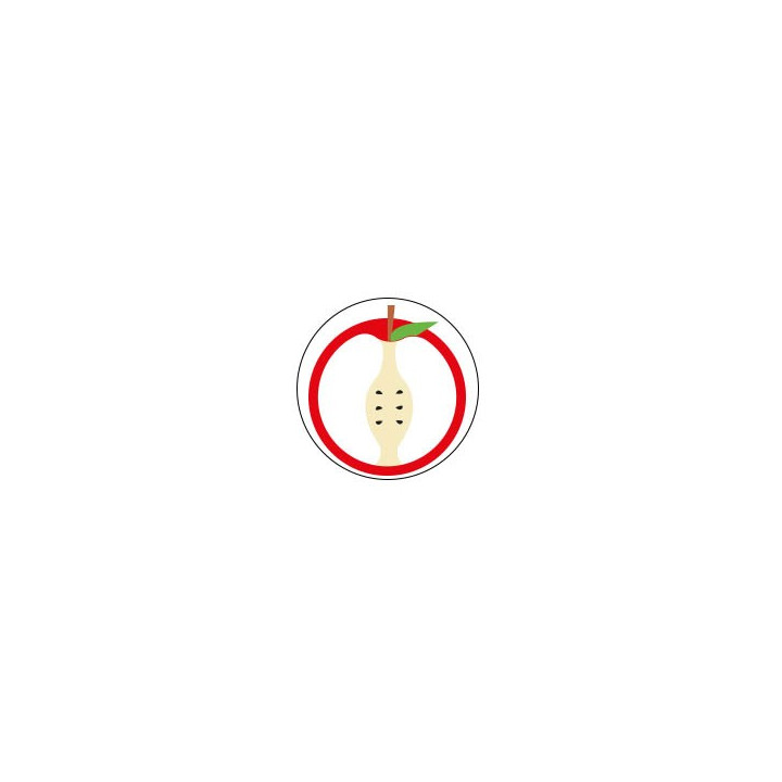 Pomme - Autocollants Stickers caches enjoliveurs  pour jante auto