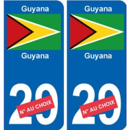 Guyana sticker numéro département au choix autocollant plaque immatriculation auto