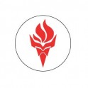 Robot Reformers- Autocollants Stickers caches enjoliveurs  pour jante auto