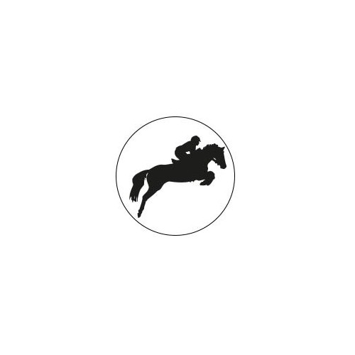 Cheval - Autocollants Stickers caches enjoliveurs  pour jante auto