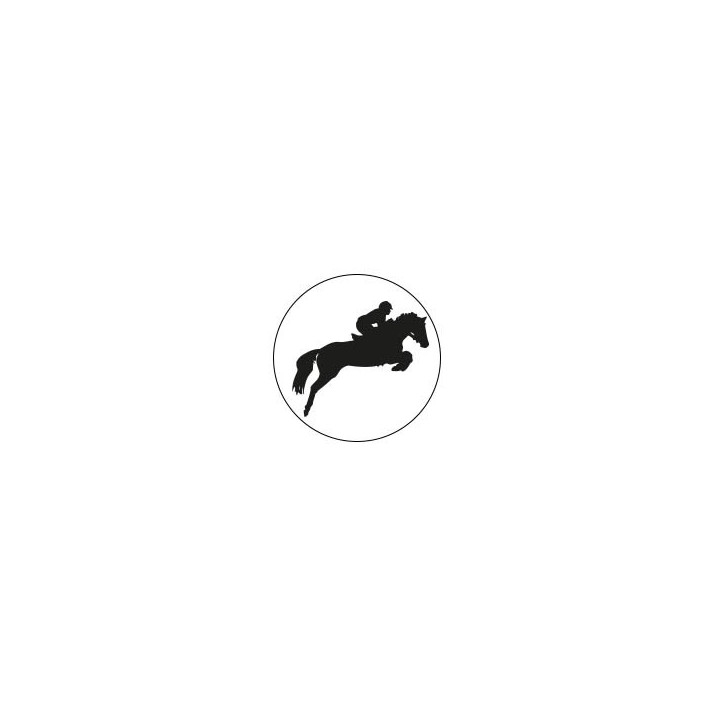 Cheval - Autocollants Stickers caches enjoliveurs  pour jante auto