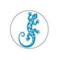 Salamanre - Autocollants Stickers caches enjoliveurs  pour jante auto