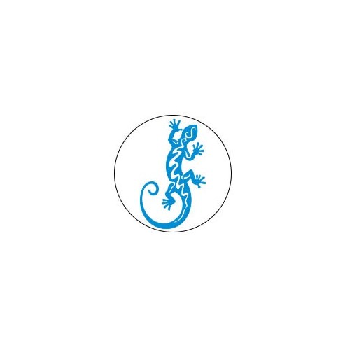 Salamanre - Autocollants Stickers caches enjoliveurs  pour jante auto