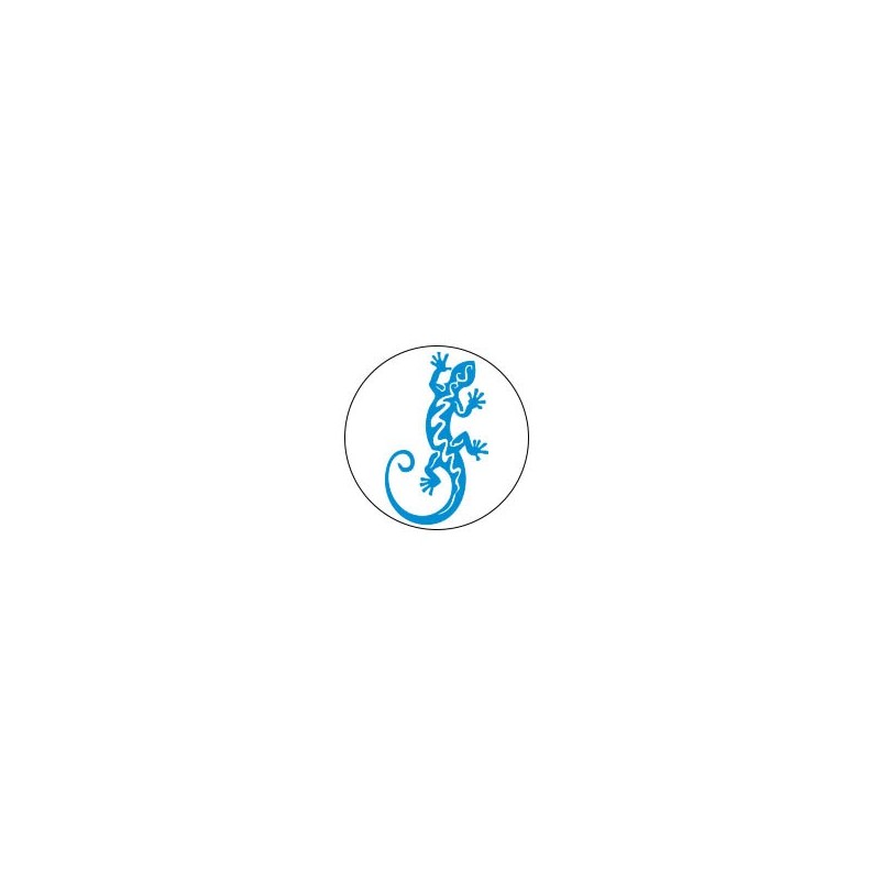 Salamanre - Autocollants Stickers caches enjoliveurs  pour jante auto