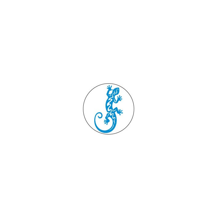 Salamanre - Autocollants Stickers caches enjoliveurs  pour jante auto