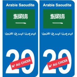 Autocollant Singapour Singapore sticker numéro département au choix plaque immatriculation auto