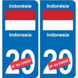 Autocollant Singapour Singapore sticker numéro département au choix plaque immatriculation auto