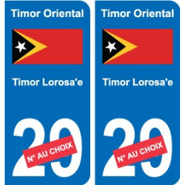 Autocollant Singapour Singapore sticker numéro département au choix plaque immatriculation auto