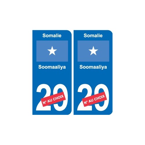 Cameroun Cameroon sticker numéro département au choix autocollant plaque immatriculation auto