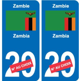 Cameroun Cameroon sticker numéro département au choix autocollant plaque immatriculation auto