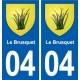 04 Entrevaux blason ville autocollant plaque stickers