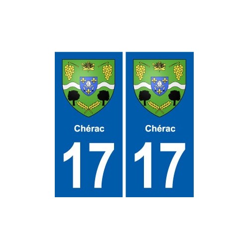 17 Chaniers blason ville autocollant plaque sticker