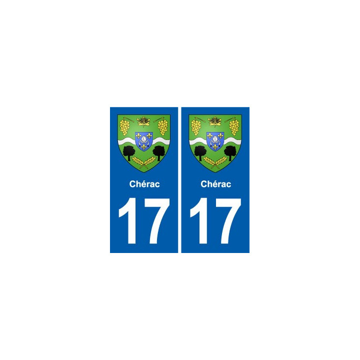 17 Chaniers blason ville autocollant plaque sticker