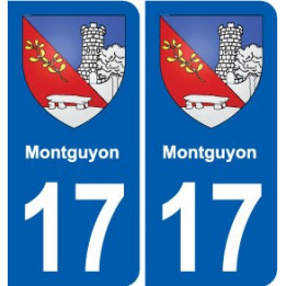 17 Chaniers blason ville autocollant plaque sticker