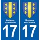 17 Chaniers blason ville autocollant plaque sticker
