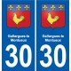 30 Aramon blason ville autocollant plaque stickers