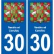 30 Aramon blason ville autocollant plaque stickers
