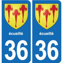 36 Vatan blason ville autocollant plaque stickers