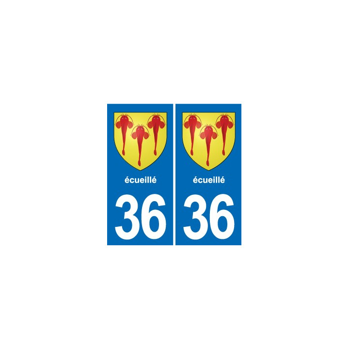 36 Vatan blason ville autocollant plaque stickers