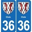 36 Vatan blason ville autocollant plaque stickers