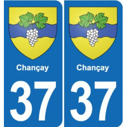 37 Bourgueil blason ville autocollant plaque stickers