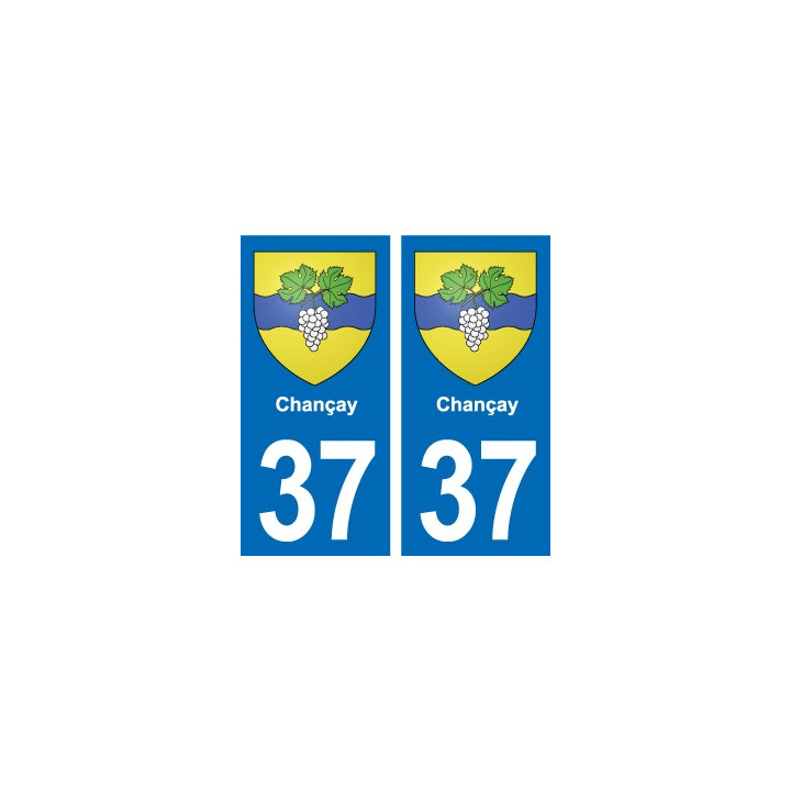37 Bourgueil blason ville autocollant plaque stickers