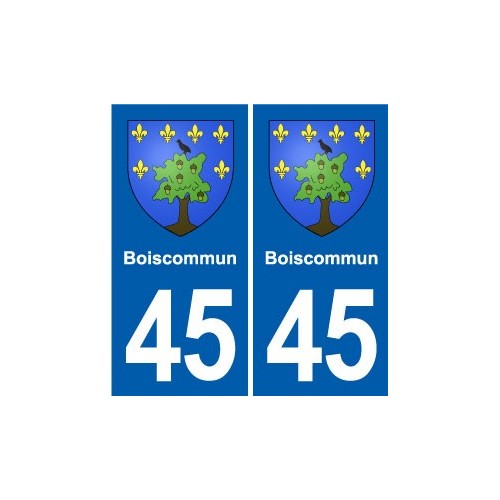 45 Chaingy blason ville autocollant plaque stickers