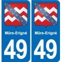 49 Maduro-Erigné escudo de armas de la etiqueta engomada de la placa de pegatinas de la ciudad