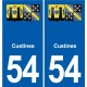 54 Malzéville blason autocollant plaque stickers ville