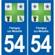 54 Malzéville blason autocollant plaque stickers ville
