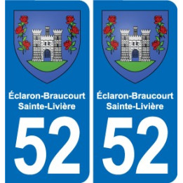 52 Wassy blason autocollant plaque stickers ville