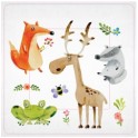 Stickers whale wall sticker sticker switch